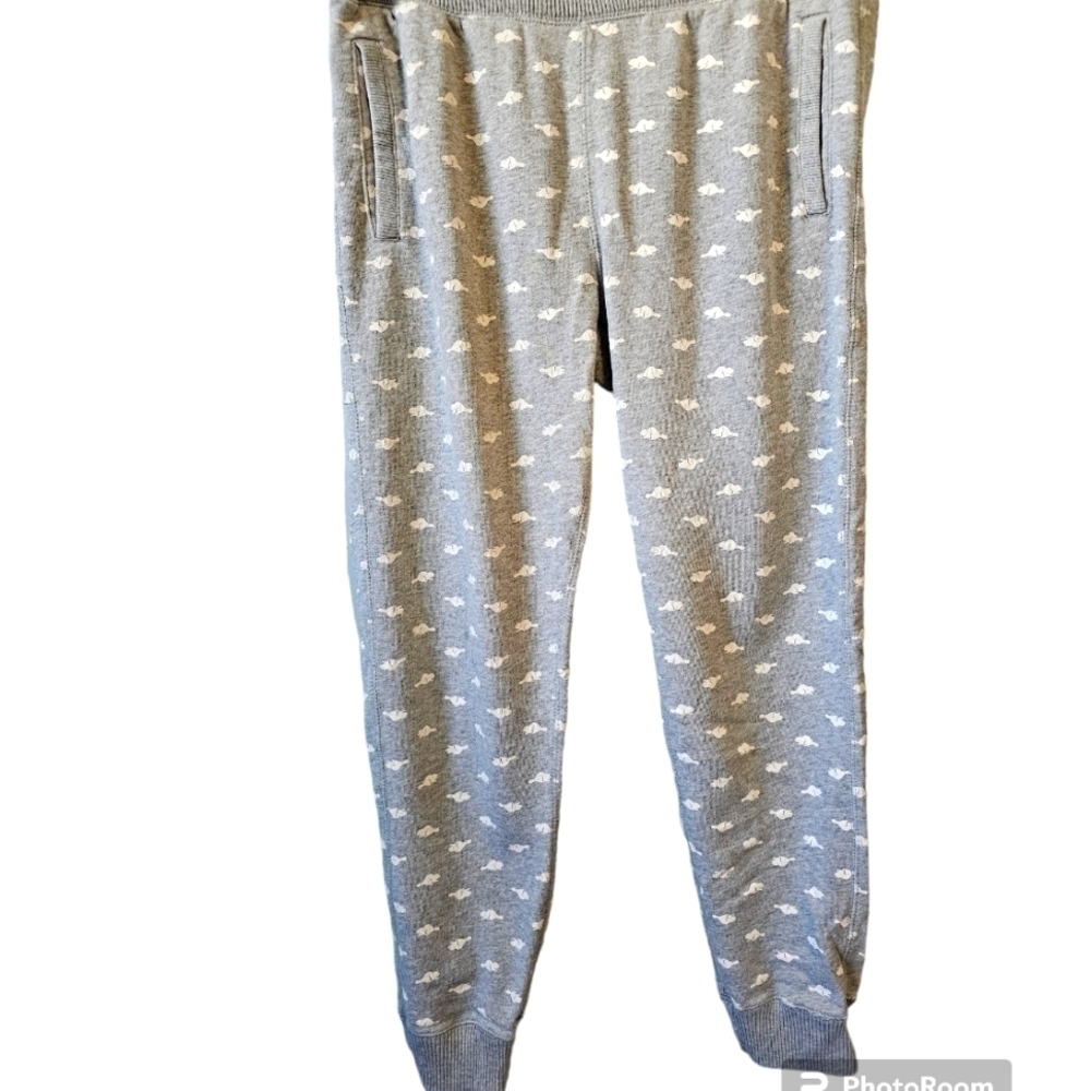Roots sweatpants